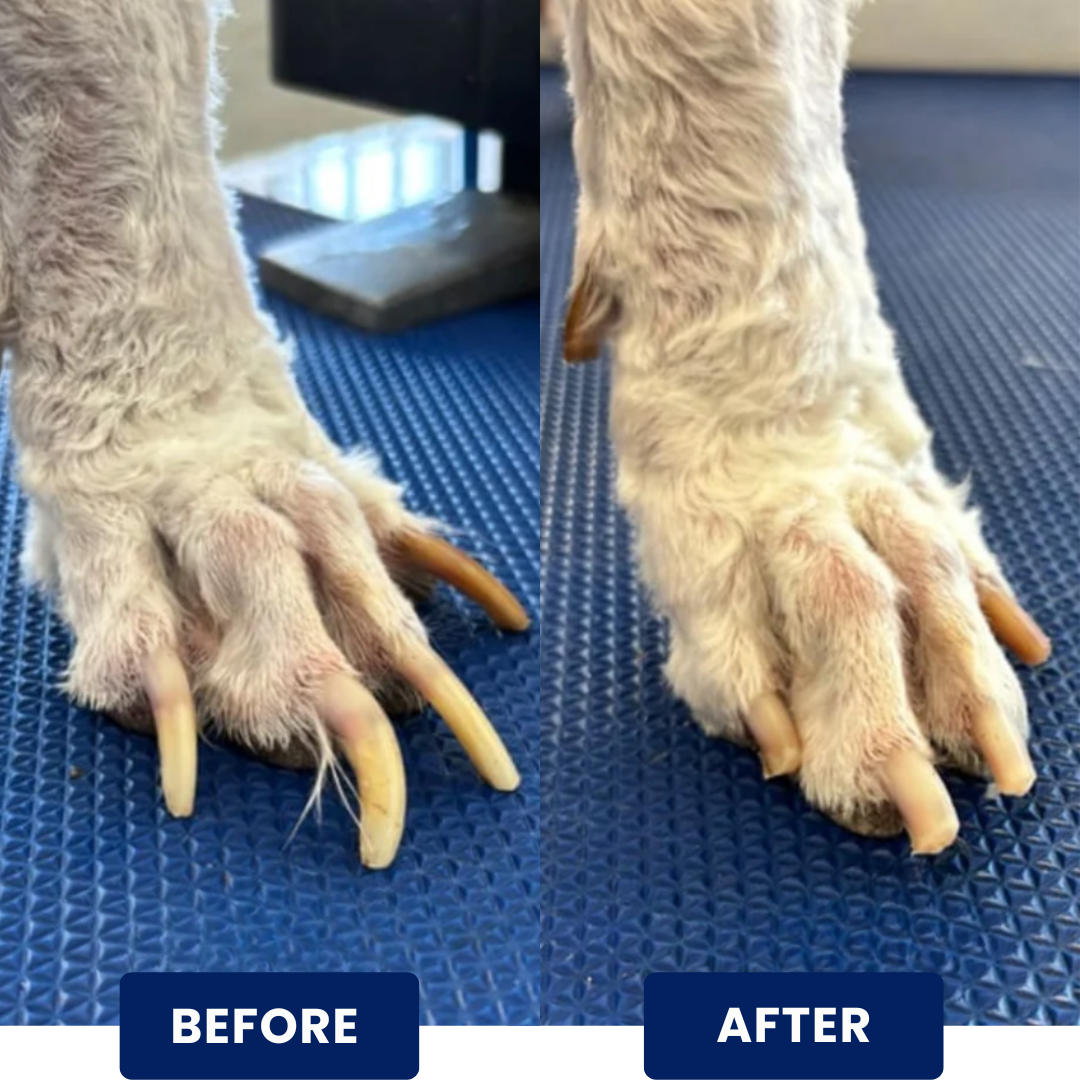 SoftPawly™ Nail Filing Board